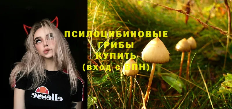 цены   Рассказово  ОМГ ОМГ вход  Галлюциногенные грибы Cubensis 